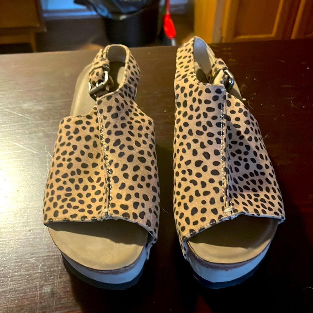 Leopard wedge Hocus Pocus